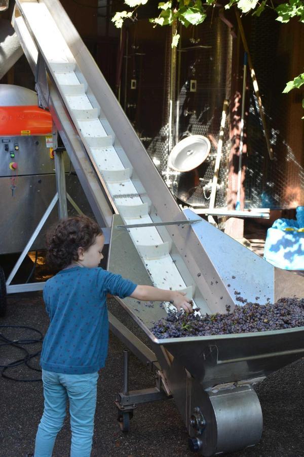 Chez Cecile Bed And Breakfast Chez Le Vigneron 콜마 외부 사진