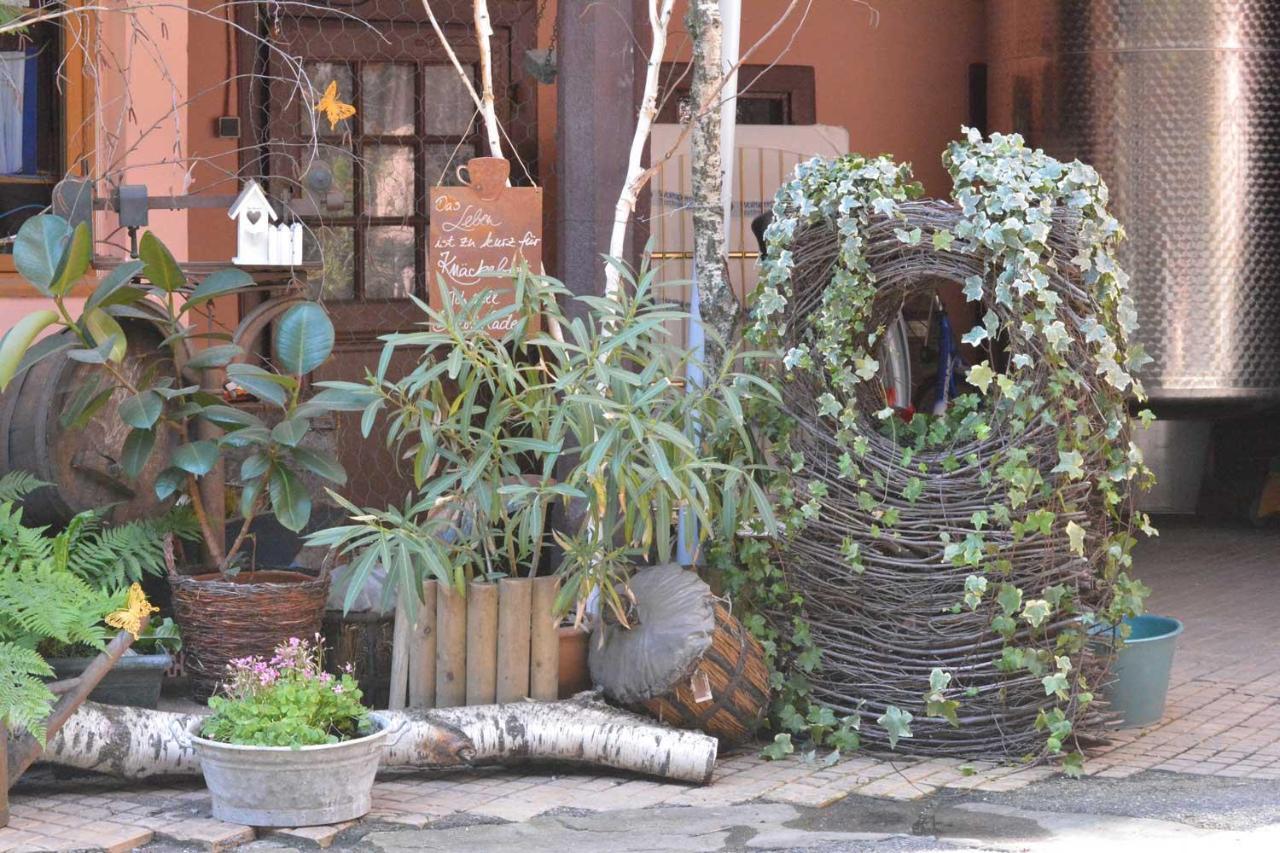 Chez Cecile Bed And Breakfast Chez Le Vigneron 콜마 외부 사진