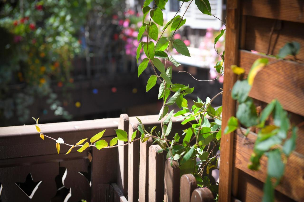 Chez Cecile Bed And Breakfast Chez Le Vigneron 콜마 외부 사진
