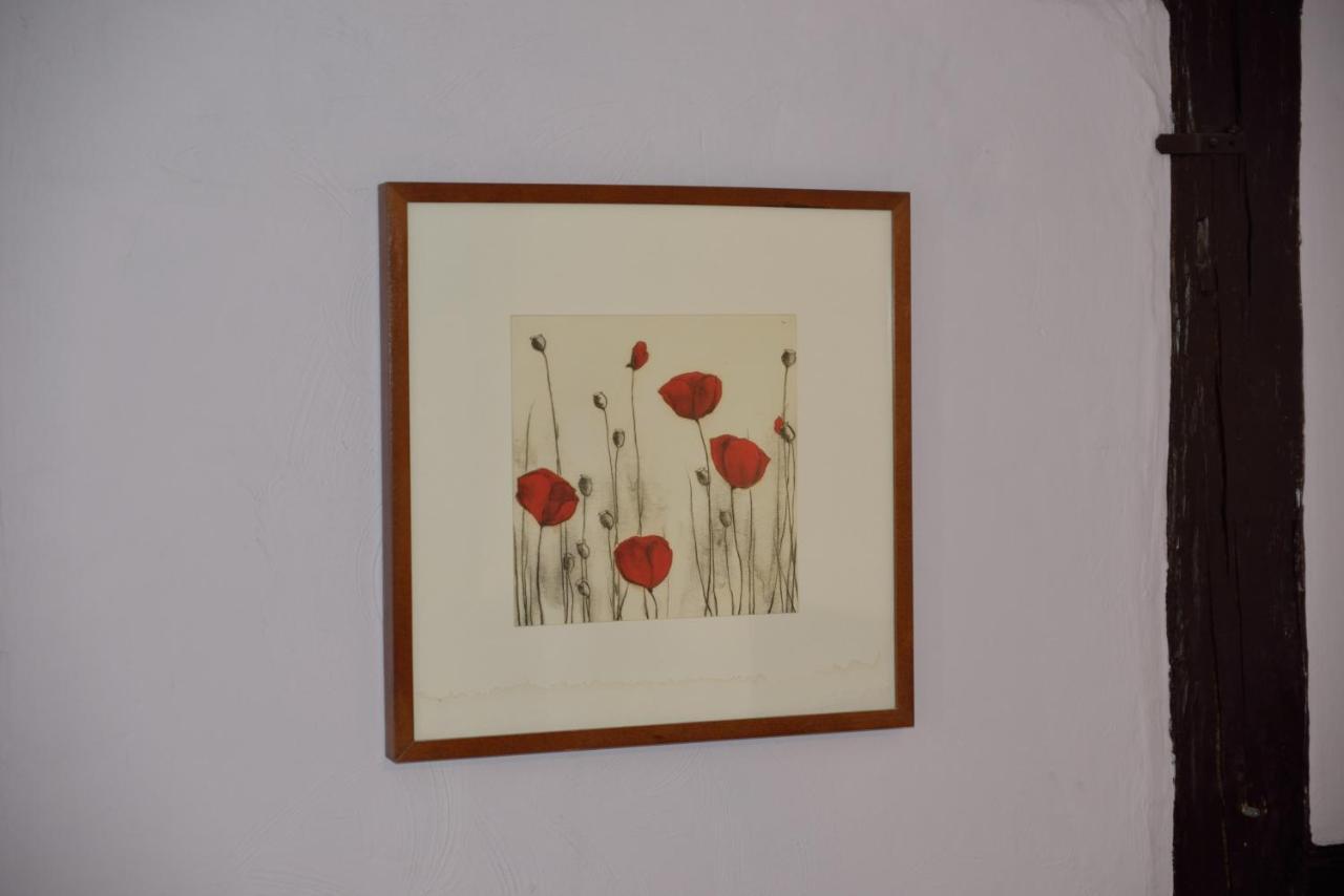 Chez Cecile Bed And Breakfast Chez Le Vigneron 콜마 외부 사진