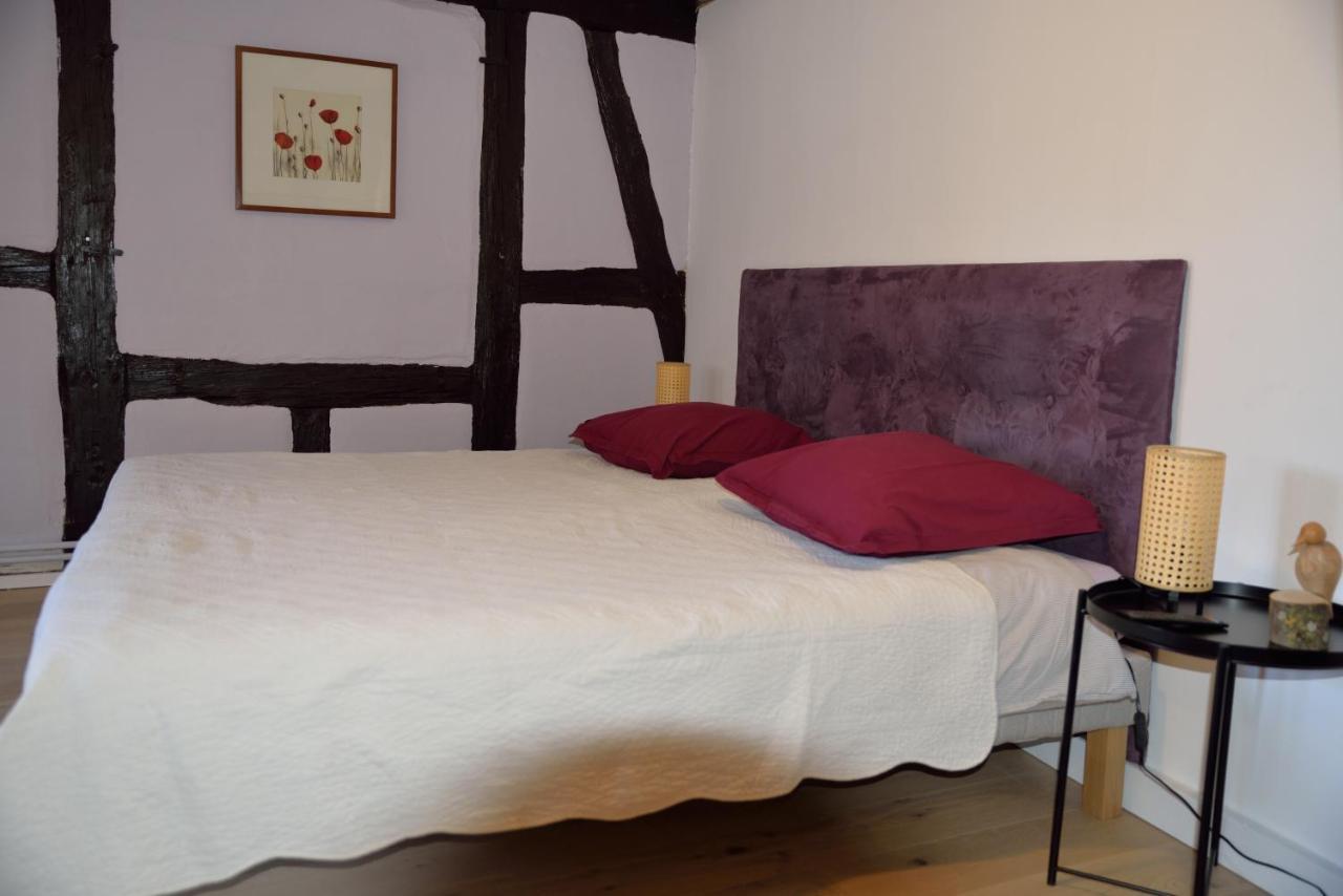 Chez Cecile Bed And Breakfast Chez Le Vigneron 콜마 외부 사진